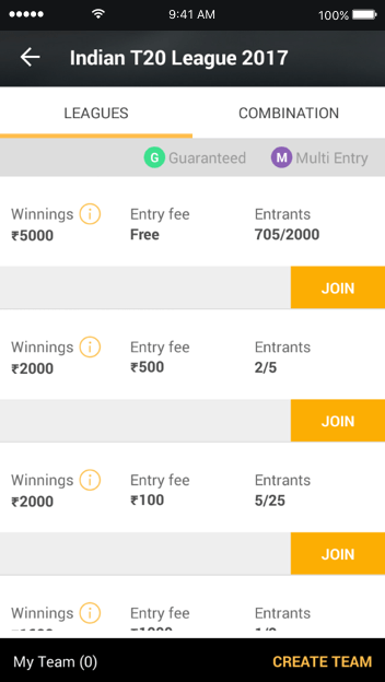 Fantasy Cricket Web Design