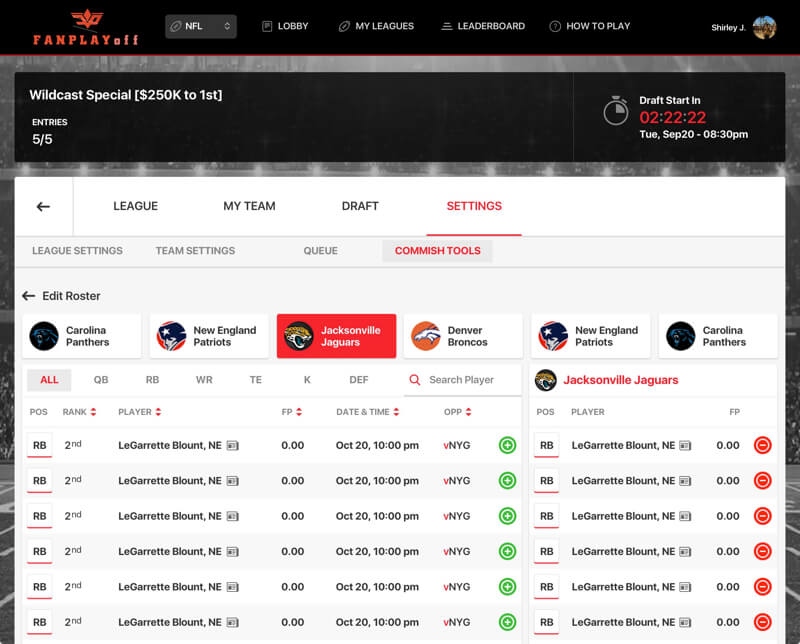 American Playoff Fantasy Sports Website Design