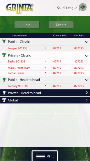 Egyptian League Fantasy Football Web design and Development by Vinfotech