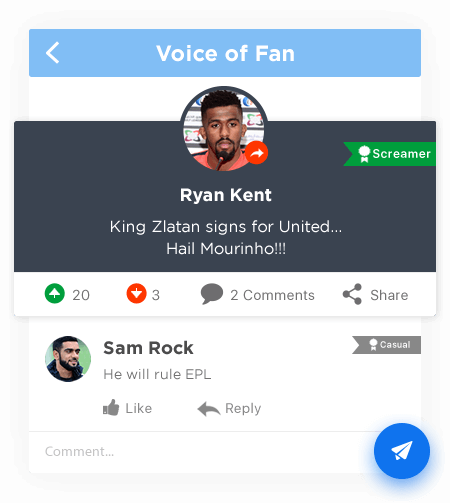 Fan Engagement Strategies